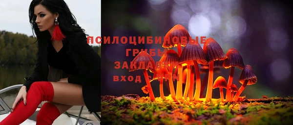 прущие крисы Вяземский