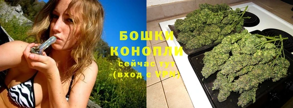 молекула духа Сатка