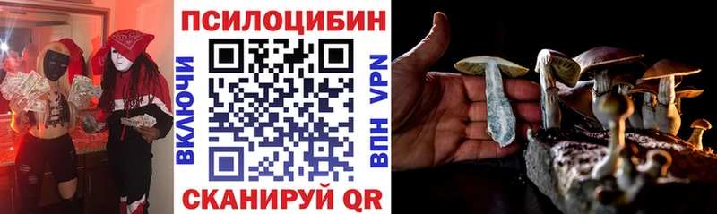 Галлюциногенные грибы Psilocybine cubensis Зубцов